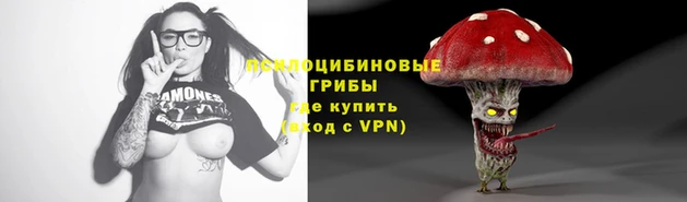 прущие крисы Михайловск
