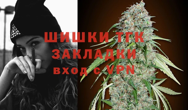 стафф Михайлов