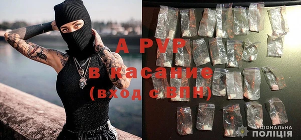 стафф Михайлов