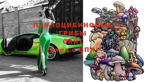 стафф Михайлов