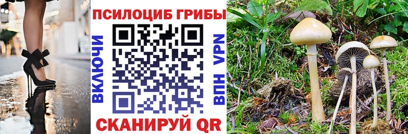 Галлюциногенные грибы прущие грибы  darknet как зайти  Заозёрный 
